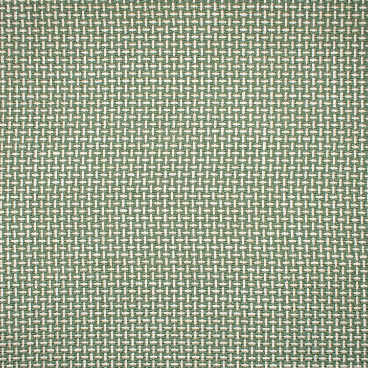 F1672 Sprout by Greenhouse Fabric E62: Essentials by Color 100% Polyester China 75,000 double rubs </p><p>Repeat: .5" H, .5" V 57" - Fabric Carolina -