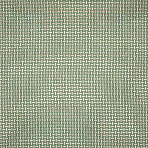 F1672 Sprout by Greenhouse Fabric