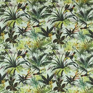 Toucan Outdoor F1676/02.CAC.0 by Clarke And Clarke Fabric
