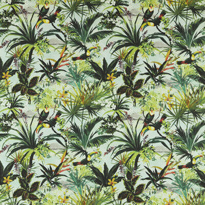 Toucan Outdoor F1676/02.CAC.0 by Clarke And Clarke Fabric