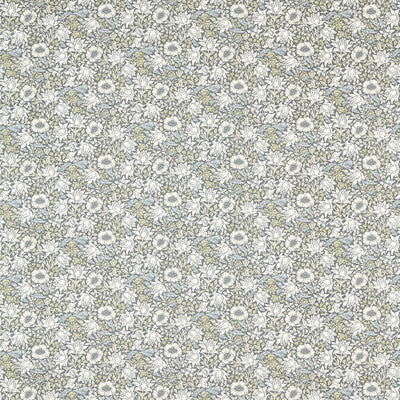 Clarke And Clarke Multipurpose F1680/01.CAC.0 Multipurpose COTTON - 100% United Kingdom </p><p>Repeat: H: , V: 27.5 21 - My Fabric Connection -
