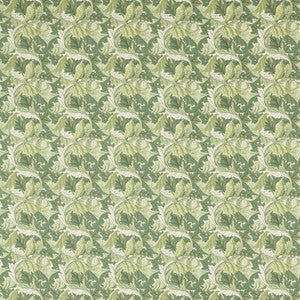 Acanthus Apple/Sage F1681/02.CAC.0 by Clarke And Clarke Fabric