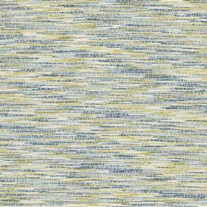 Dritto Peacock F1683/03.CAC.0 by Clarke And Clarke Fabric