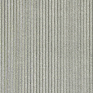 Ashdown Graphite F1688/04.CAC.0 by Clarke And Clarke Fabric