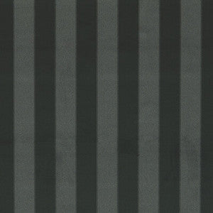 Haldon Ebony F1690/03.CAC.0 by Clarke And Clarke Fabric