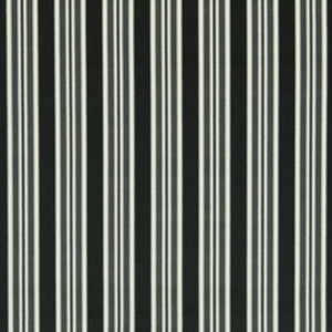 Wilmott Ebony F1691/03.CAC.0 by Clarke And Clarke Fabric