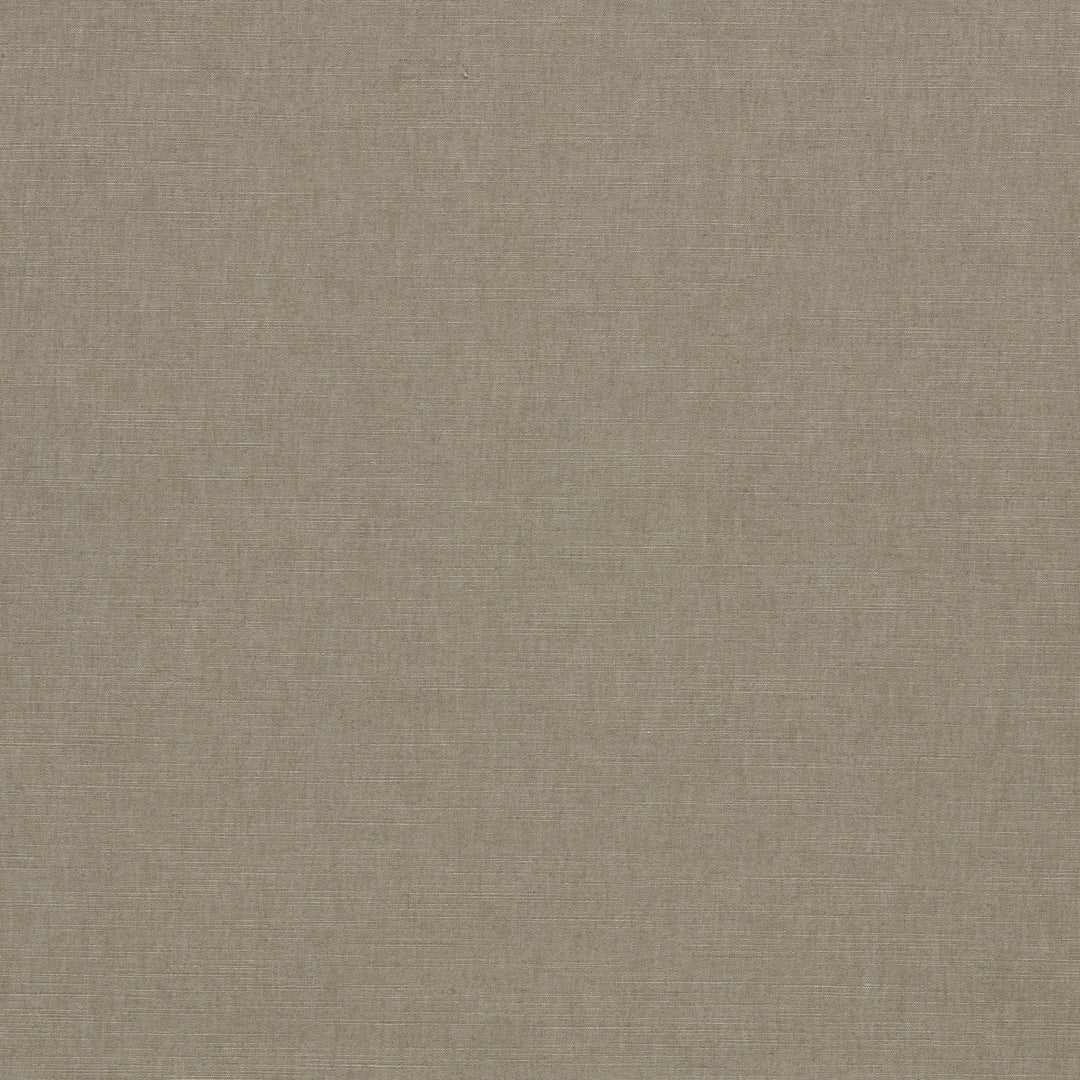 Paradiso - Ash By Clarke & Clarke Fabric