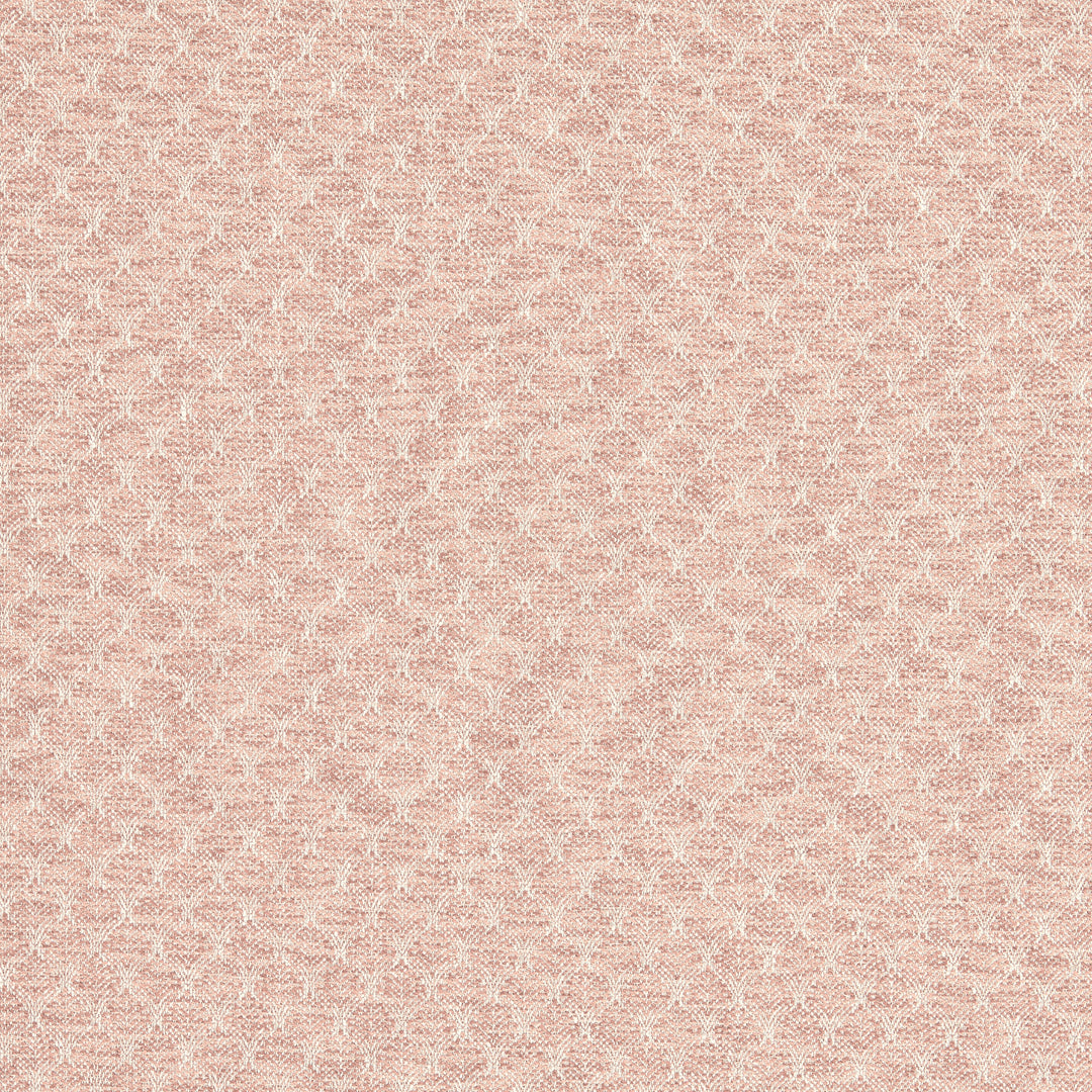 Trelica - Blush By Clarke & Clarke Fabric