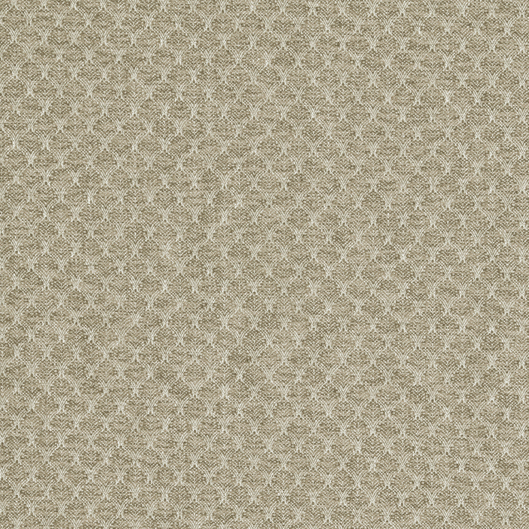 Trelica - Natural By Clarke & Clarke Fabric