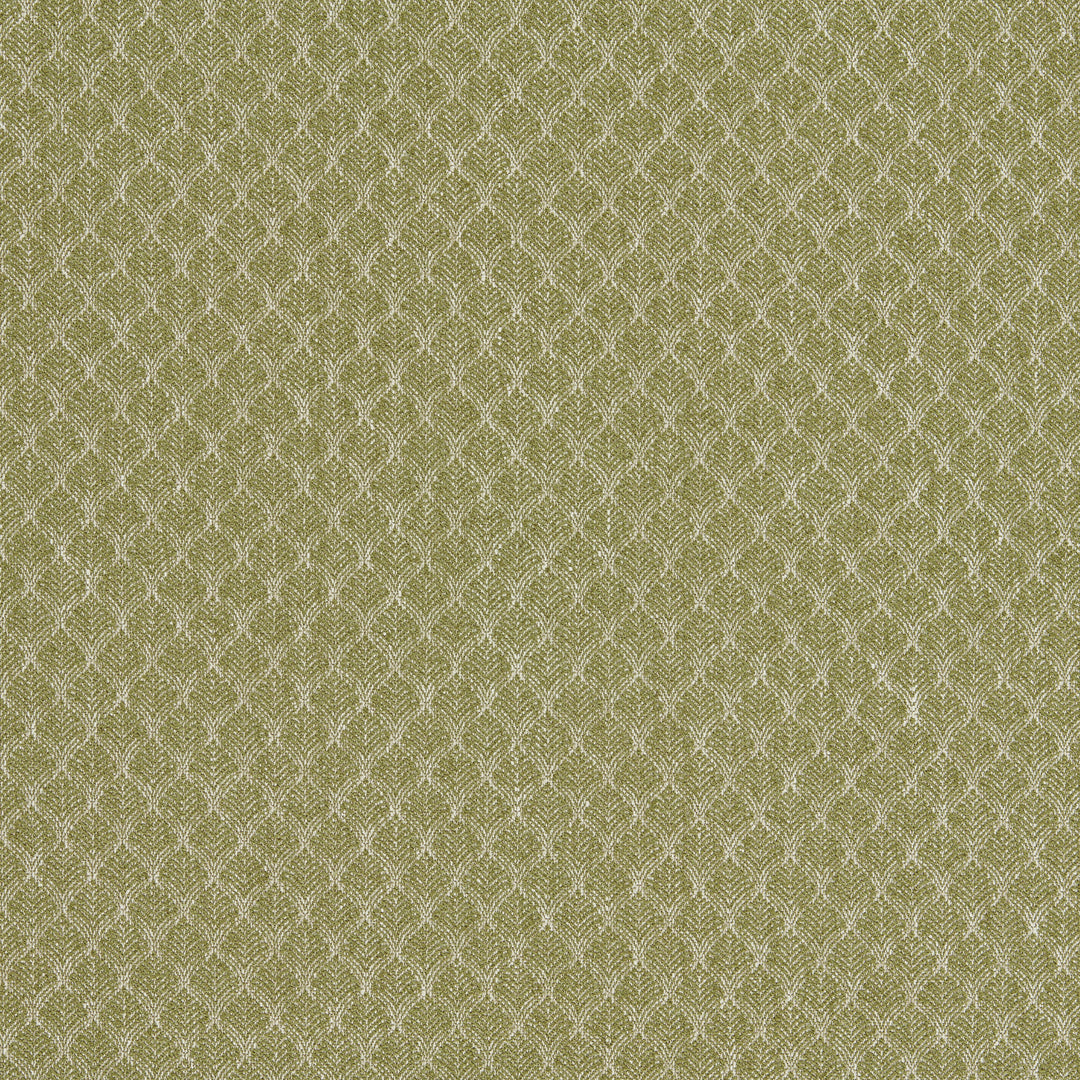 Trelica - Olive By Clarke & Clarke Fabric