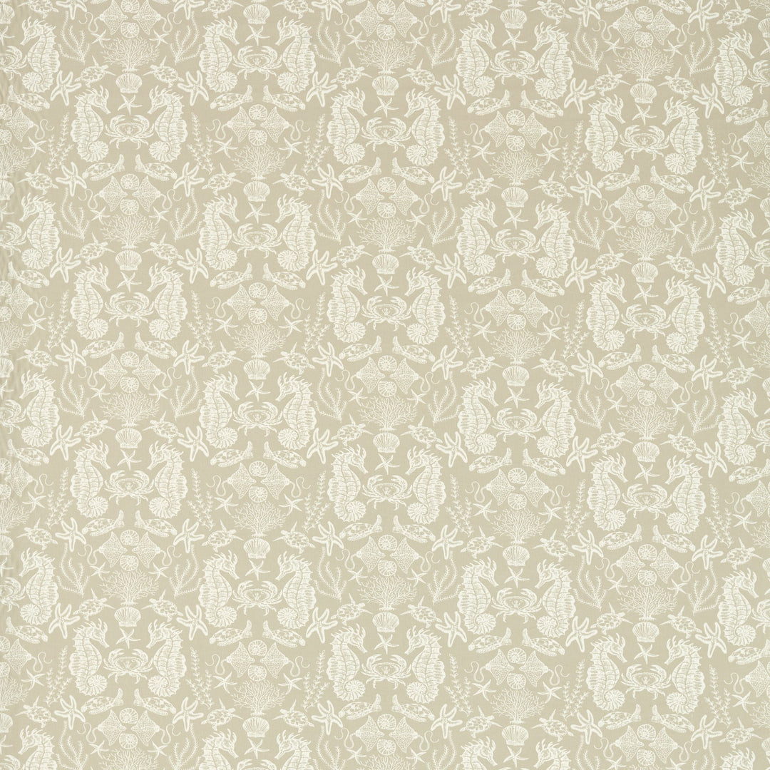 Aquarium - Natural By Clarke & Clarke Fabric