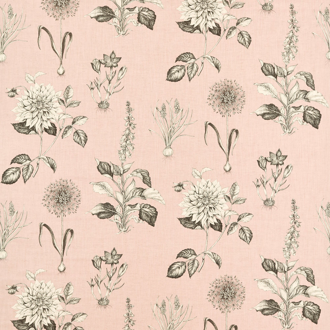 Roseraie - Blush By Clarke & Clarke Fabric