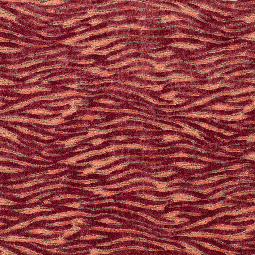 Wildstripe - Coral By Clarke & Clarke Fabric