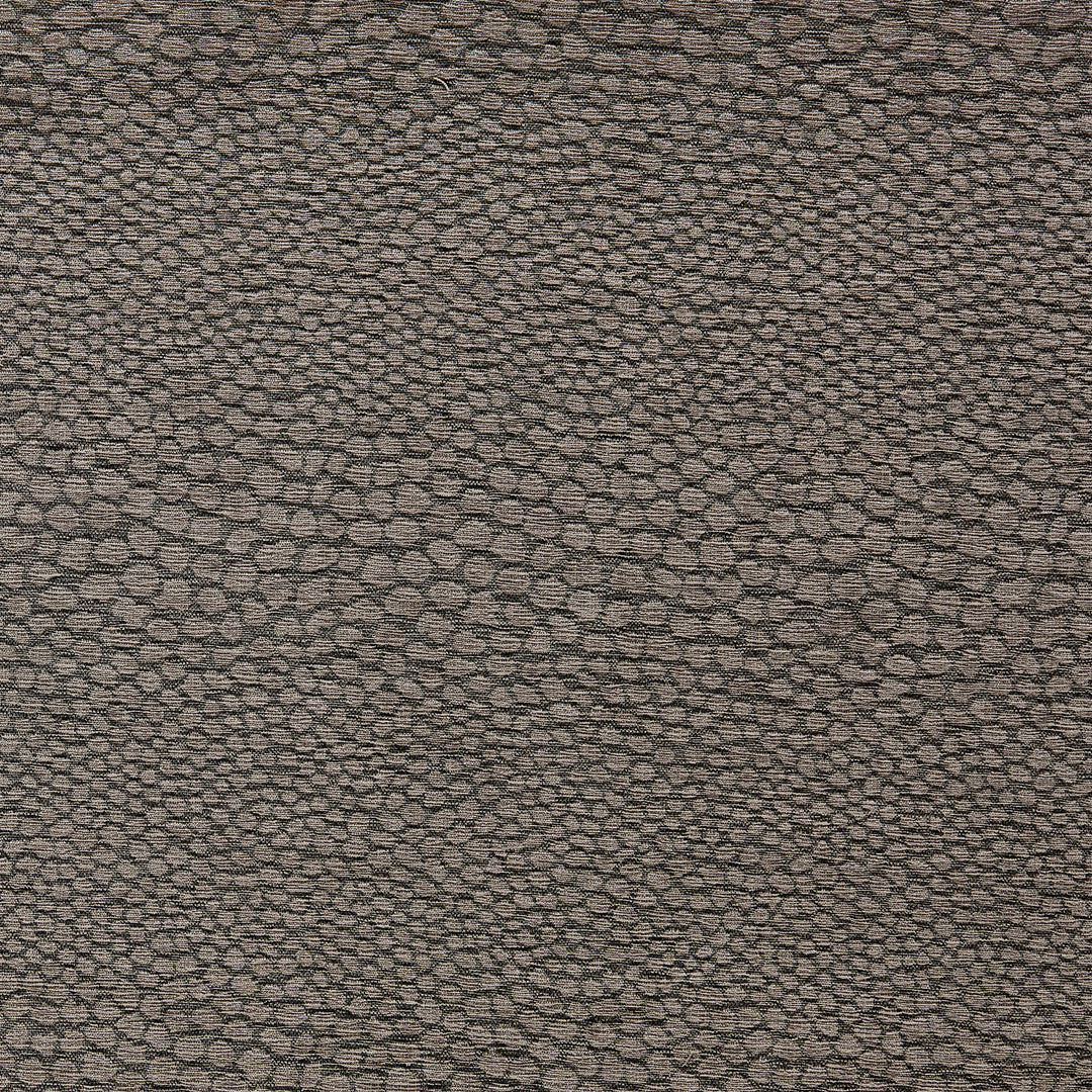 Castus - Espresso By Clarke & Clarke Fabric