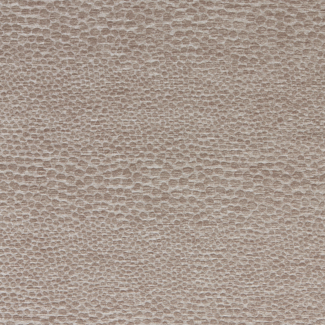 Castus - Mink By Clarke & Clarke Fabric