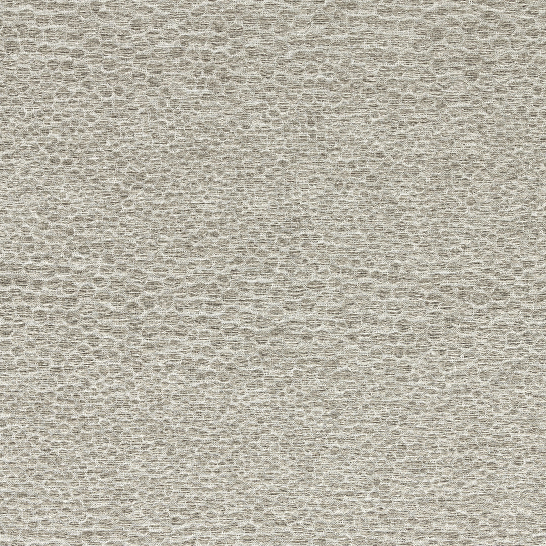 Castus - Pebble By Clarke & Clarke Fabric