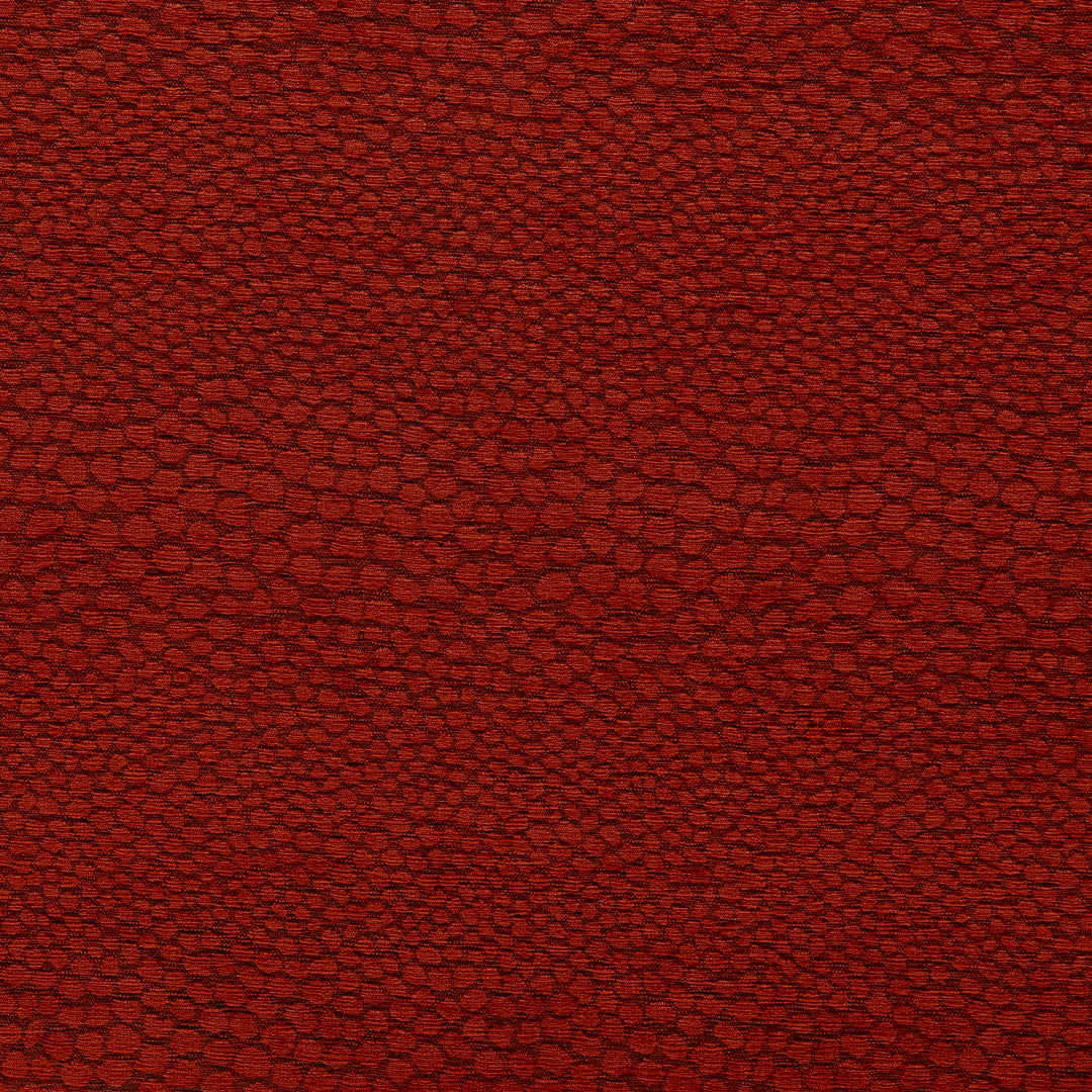 Castus - Spice By Clarke & Clarke Fabric