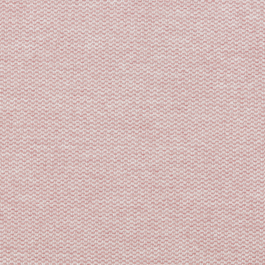 Tergo - Blush By Clarke & Clarke Fabric