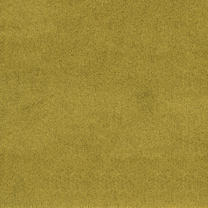 F1836 Grass by Greenhouse Fabric 100% Polyester China 60,000 </p><p>Repeat: None 54" - Fabric Carolina -