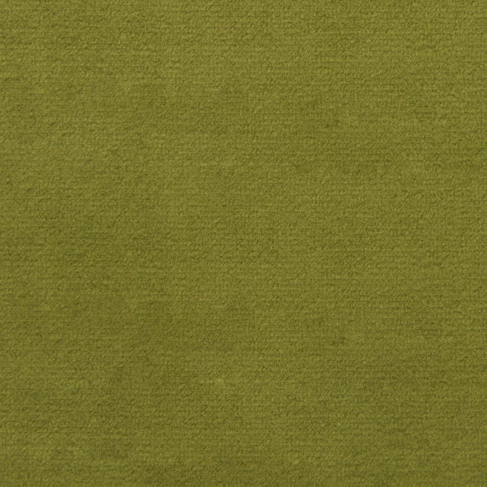 F1837 Fern by Greenhouse Fabric 100% Polyester China 102,000 </p><p>Repeat: None 54" - Fabric Carolina -