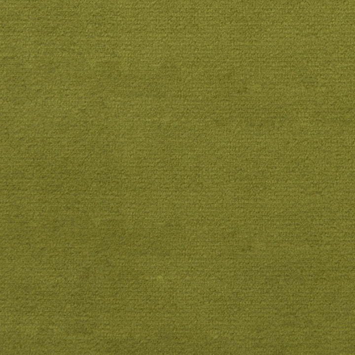 F1837 Fern by Greenhouse Fabric 100% Polyester China 102,000 </p><p>Repeat: None 54" - Fabric Carolina -