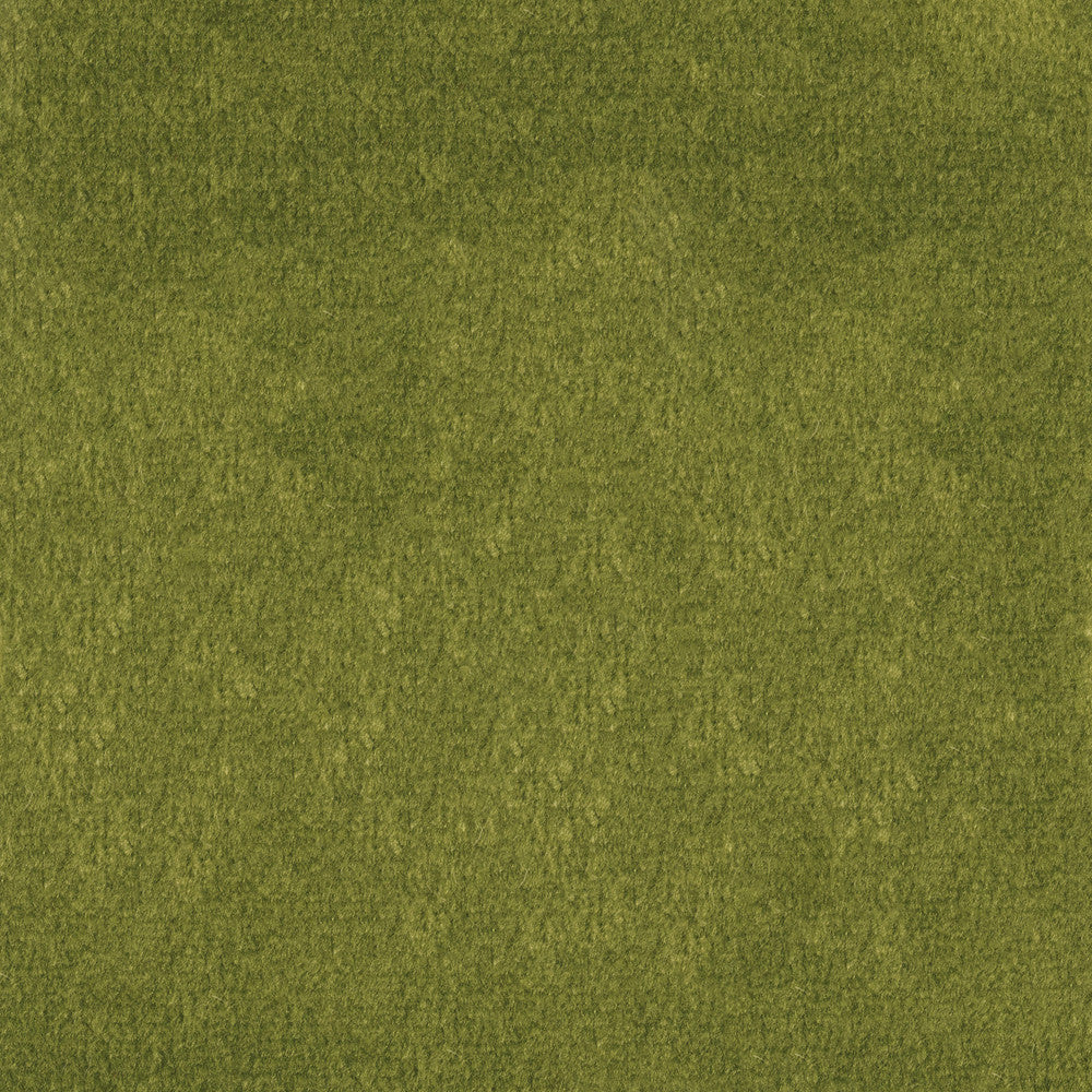 F1837 Fern by Greenhouse Fabric E91: Value Color 100% Polyester China 102,000 double rubs </p><p>Repeat: None 54" - Fabric Carolina -
