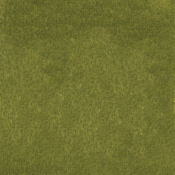 F1837 Fern by Greenhouse Fabric E91: Value Color 100% Polyester China 102,000 double rubs </p><p>Repeat: None 54" - Fabric Carolina -