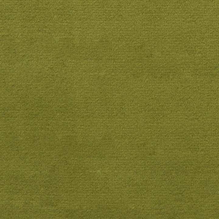F1837 Fern by Greenhouse Designer Fabric 100% Polyester China 102,000 </p><p>Repeat: None 54" - Swanky Fabrics -