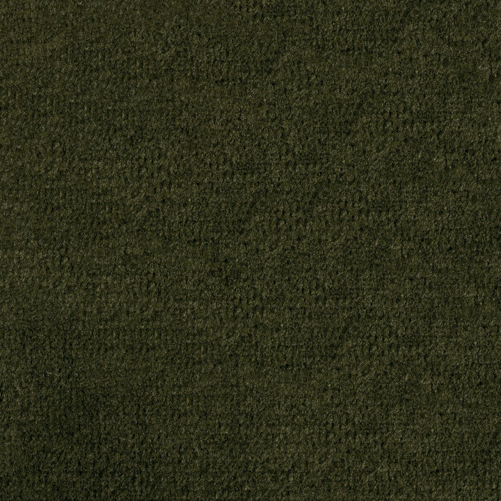 F1839 Moss by Greenhouse Designer Fabric E91: Value Color 100% Polyester China 102,000 double rubs </p><p>Repeat: None 54" - Swanky Fabrics -