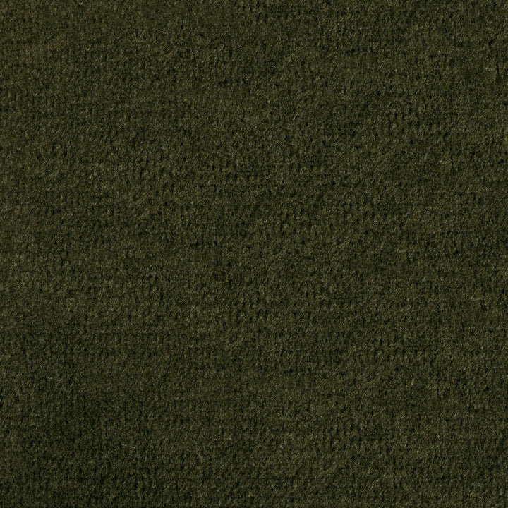 F1839 Moss by Greenhouse Fabric E91: Value Color 100% Polyester China 102,000 double rubs </p><p>Repeat: None 54" - Fabric Carolina -