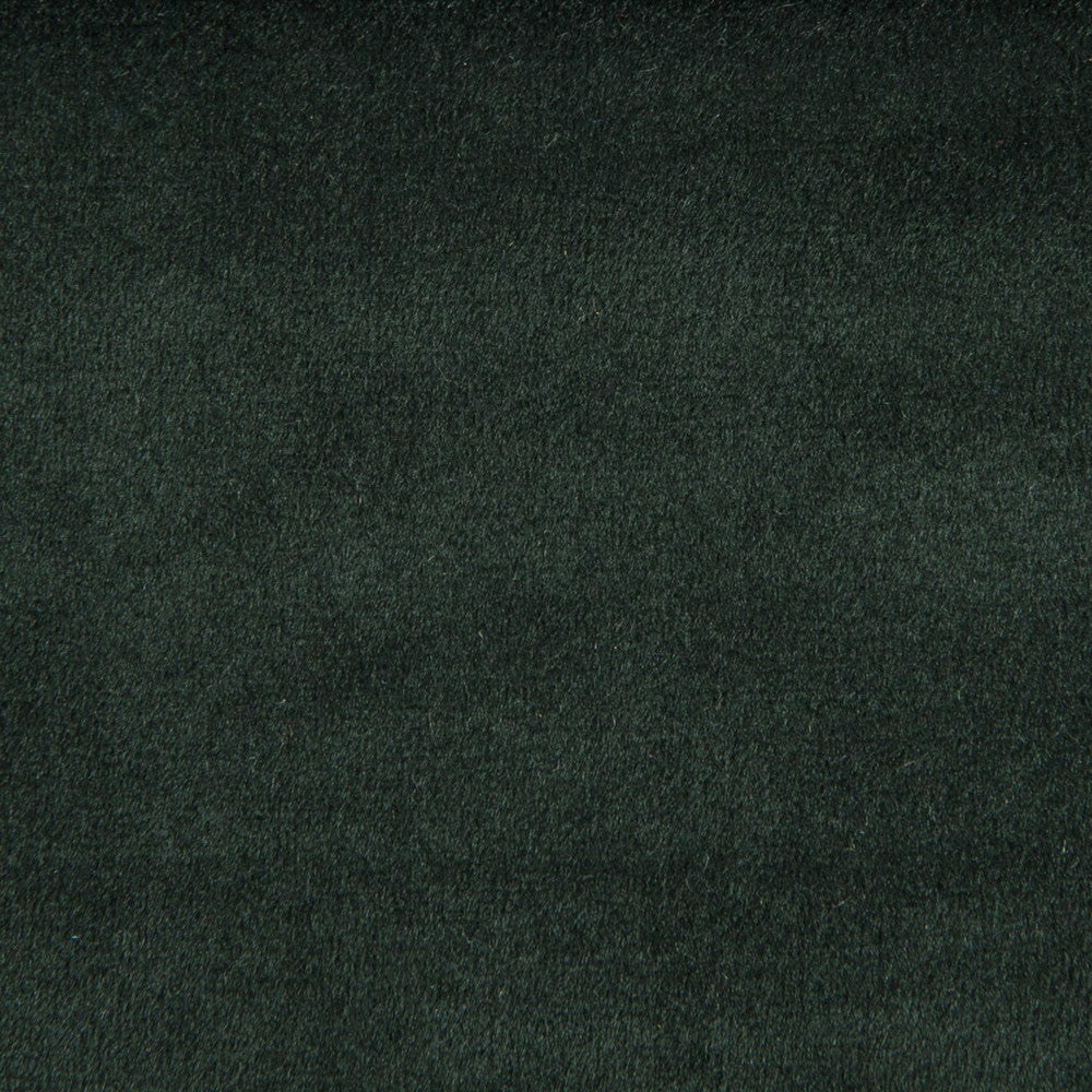 F1842 Pine by Greenhouse Fabric E91: Value Color 100% Polyester China 60,000 double rubs </p><p>Repeat: None 54" - Fabric Carolina -