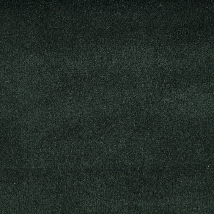 F1842 Pine by Greenhouse Fabric E91: Value Color 100% Polyester China 60,000 double rubs </p><p>Repeat: None 54" - Fabric Carolina -