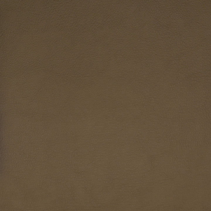 F1859 Beige by Greenhouse Designer Fabric Contents: 100% Polyerethane, Backing: 85% Polyester, 15% Cotton China 100,000 double rubs </p><p>Repeat: NONE 58" - Swanky Fabrics -
