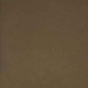 F1859 Beige by Greenhouse Fabric