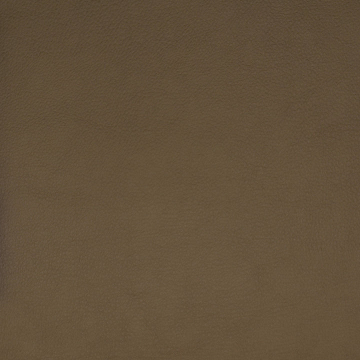 F1859 Beige by Greenhouse Fabric Contents: 100% Polyerethane, Backing: 85% Polyester, 15% Cotton China 100,000 double rubs </p><p>Repeat: NONE 58" - Fabric Carolina -