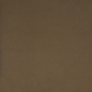 F1859 Beige by Greenhouse Fabric