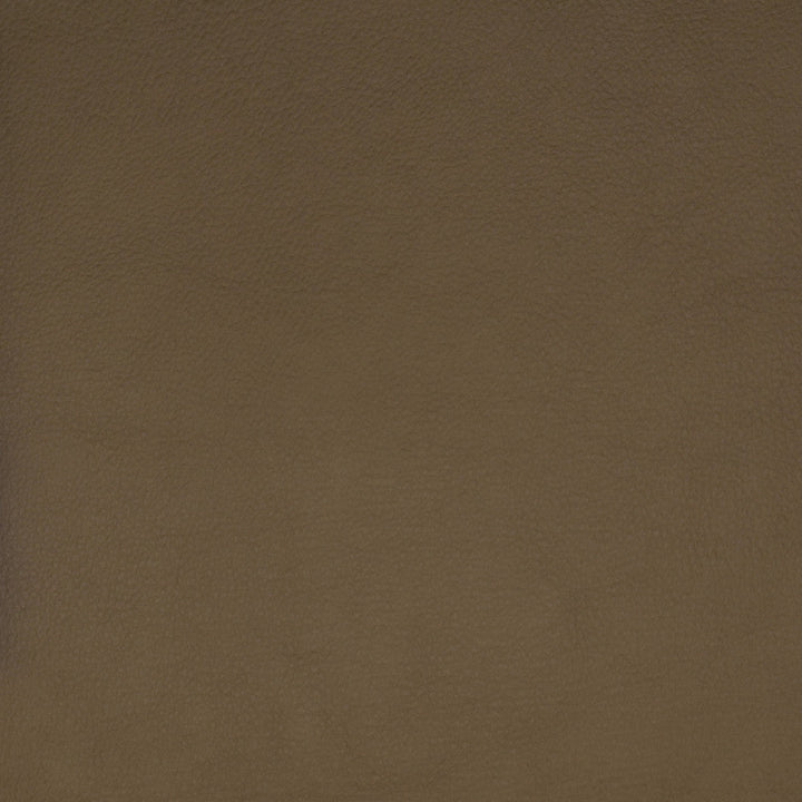 F1859 Beige by Greenhouse Designer Fabric Contents: 100% Polyerethane, Backing: 85% Polyester, 15% Cotton CHINA 100,000 </p><p>Repeat: NONE 58" - Swanky Fabrics -