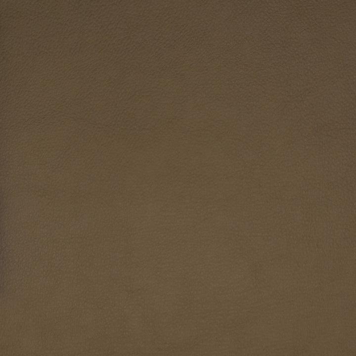 F1859 Beige by Greenhouse Fabric Contents: 100% Polyerethane, Backing: 85% Polyester, 15% Cotton CHINA 100,000 </p><p>Repeat: NONE 58" - Fabric Carolina -