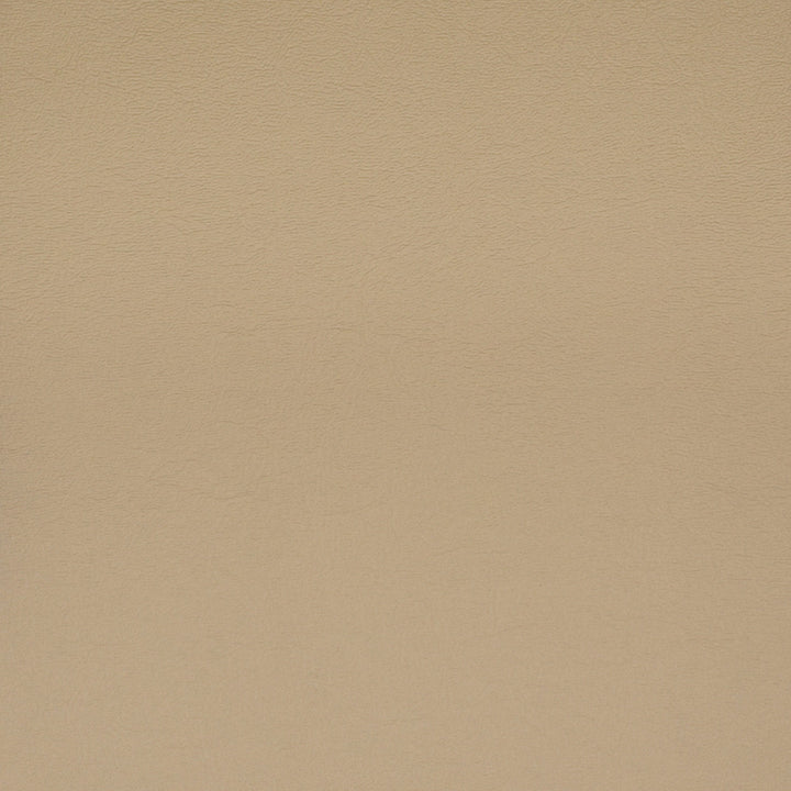 F1861 Taupe by Greenhouse Fabric E65: Vinyl Contents: 100% Polyvinyl Chloride (Pvc), Backing: 100% Polyester China 500,000 double rubs </p><p>Repeat: NONE 54" - Fabric Carolina -