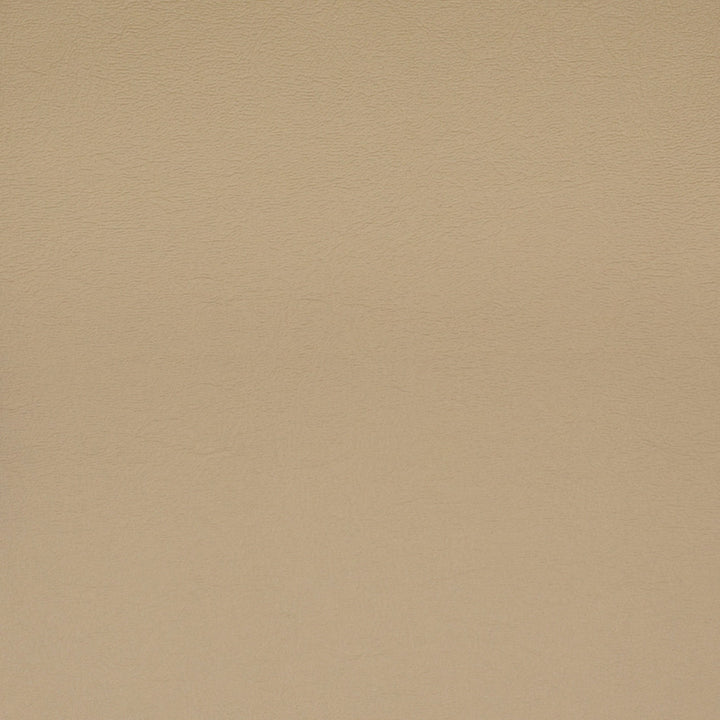 F1861 Taupe by Greenhouse Fabric Contents: 100% Polyvinyl Chloride (Pvc), Backing: 100% Polyester CHINA 500,000 </p><p>Repeat: NONE 54" - Fabric Carolina -