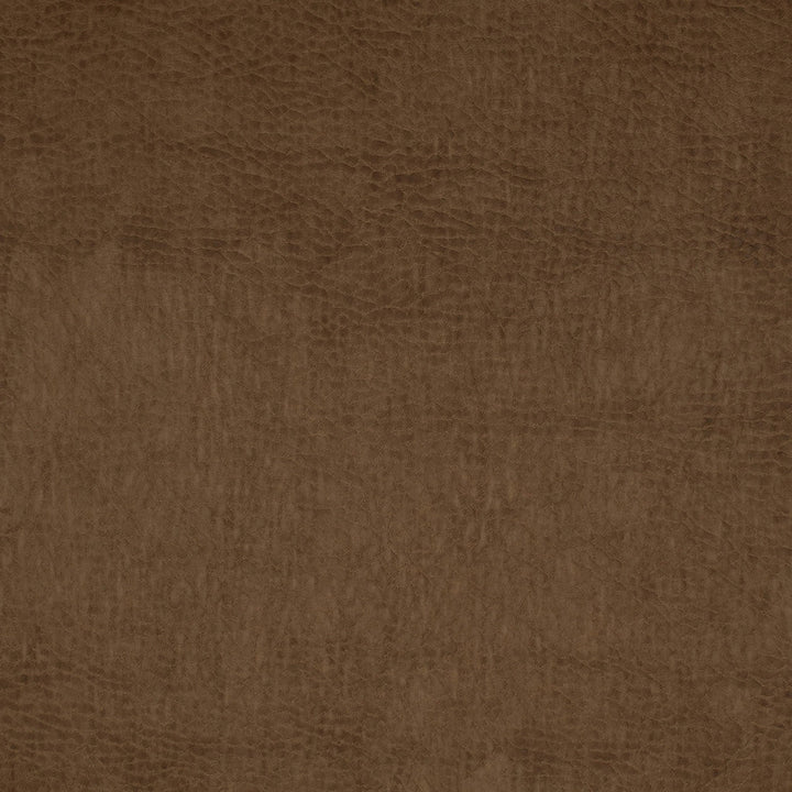 F1865 Moccasin by Greenhouse Designer Fabric Contents: 100% Polyurethane, Backing: 65% Polyester, 35% Cotton China 200,000 double rubs </p><p>Repeat: NONE 54" - Swanky Fabrics -