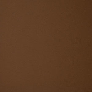 F1866 Cinnamon by Greenhouse Fabric