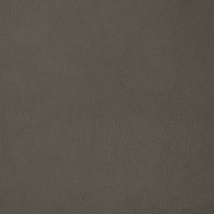 F1878 Ash by Greenhouse Designer Fabric E65: Vinyl Contents: 100% Polyerethane, Backing: 85% Polyester, 15% Cotton China 100,000 double rubs </p><p>Repeat: NONE 58" - Swanky Fabrics -