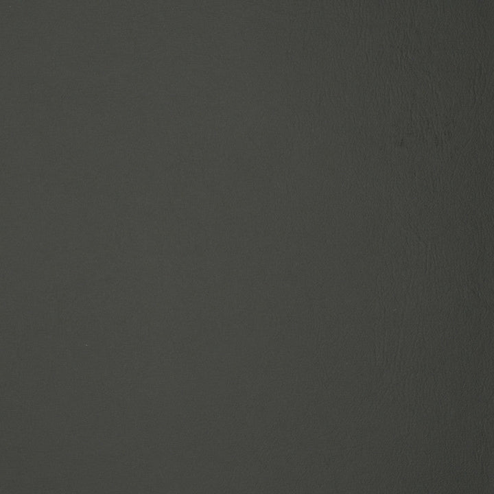 F1879 Slate by Greenhouse Designer Fabric Contents: 100% Polyvinyl Chloride (Pvc), Backing: 100% Polyester China 500,000 double rubs </p><p>Repeat: NONE 54" - Swanky Fabrics -