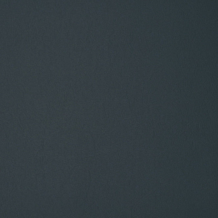 F1889 Blue Ridge by Greenhouse Designer Fabric Contents: 100% Polyvinyl Chloride (Pvc), Backing: 100% Polyester CHINA 500,000 </p><p>Repeat: NONE 54" - Swanky Fabrics -