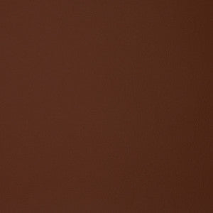 F1895 Rust by Greenhouse Fabric