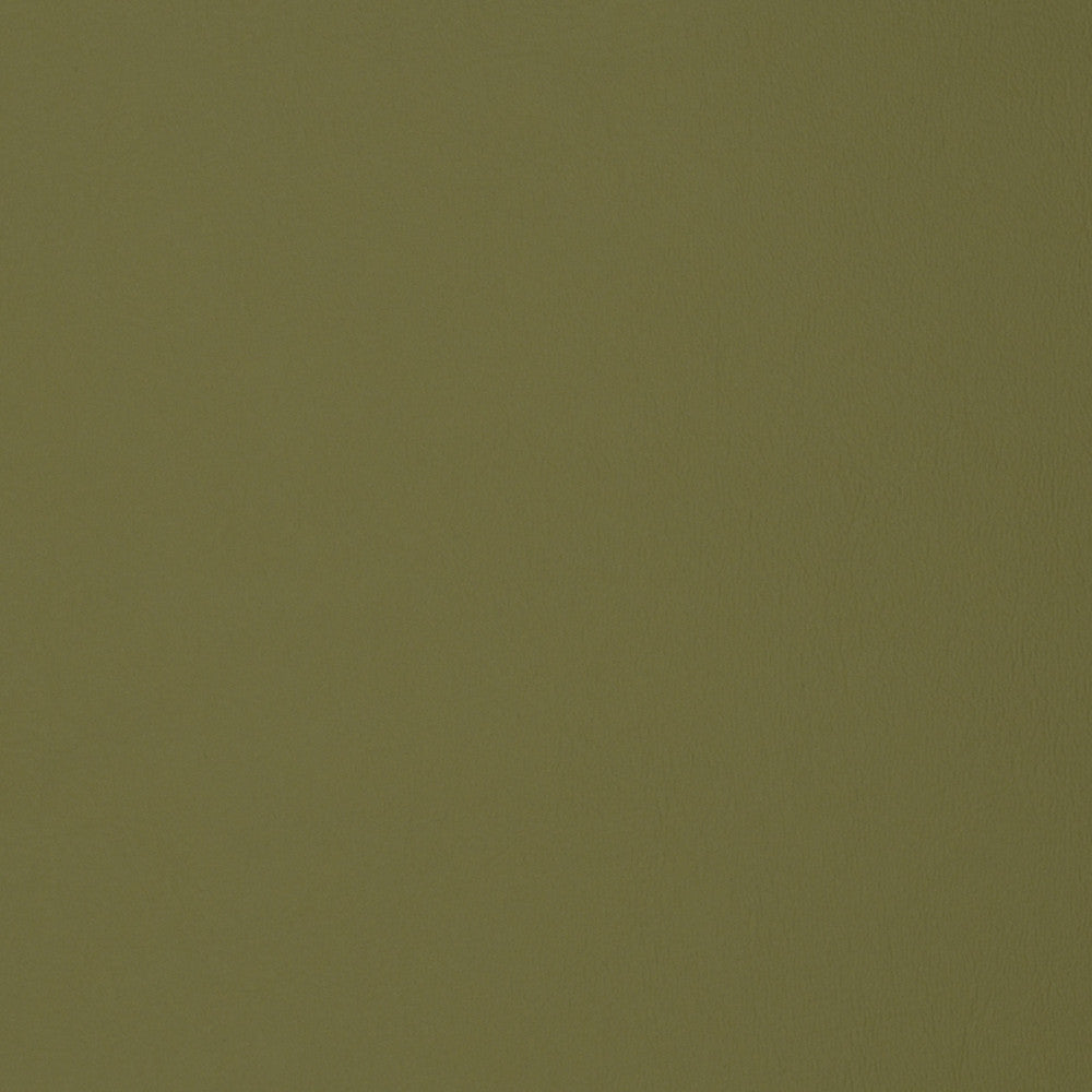 F1896 Sage by Greenhouse Fabric Contents: 100% Polyvinyl Chloride (Pvc), Backing: 100% Polyester China 500,000 double rubs </p><p>Repeat: NONE 54" - Fabric Carolina -