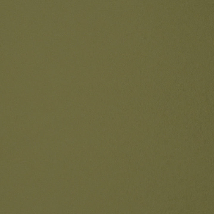 F1896 Sage by Greenhouse Fabric Contents: 100% Polyvinyl Chloride (Pvc), Backing: 100% Polyester China 500,000 double rubs </p><p>Repeat: NONE 54" - Fabric Carolina -