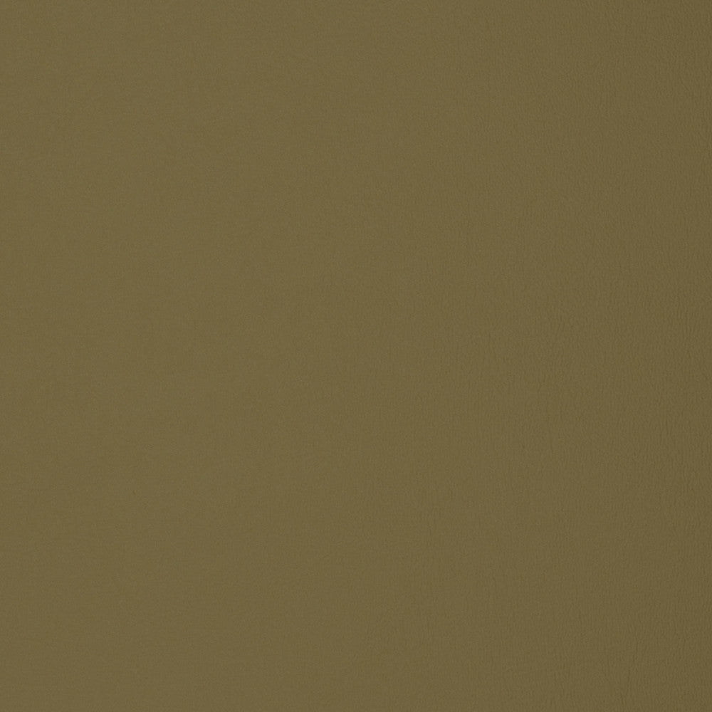 F1896 Sage by Greenhouse Fabric E65: Vinyl Contents: 100% Polyvinyl Chloride (Pvc), Backing: 100% Polyester China 500,000 double rubs </p><p>Repeat: NONE 54" - Fabric Carolina -