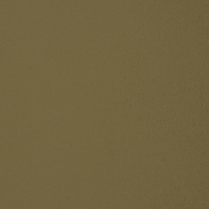F1896 Sage by Greenhouse Fabric E65: Vinyl Contents: 100% Polyvinyl Chloride (Pvc), Backing: 100% Polyester China 500,000 double rubs </p><p>Repeat: NONE 54" - Fabric Carolina -